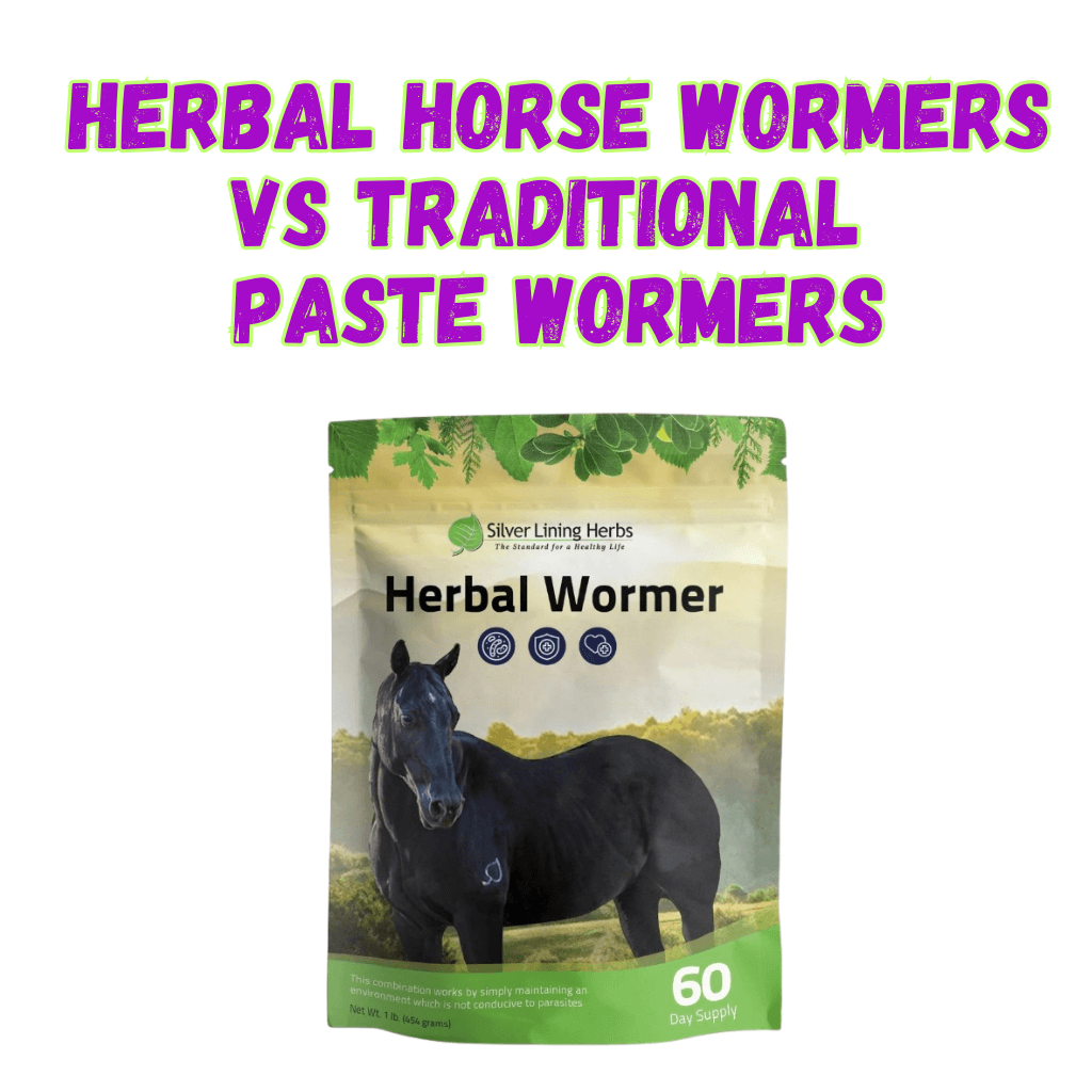 Herbal Horse Wormers vs Traditional Paste Wormers