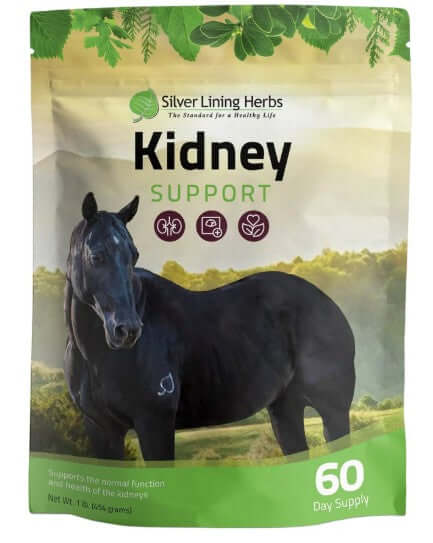 Horse Herbal Supplements, Kidney