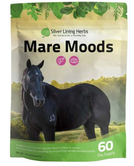 Horse Herbal Supplements, Bone and Feet