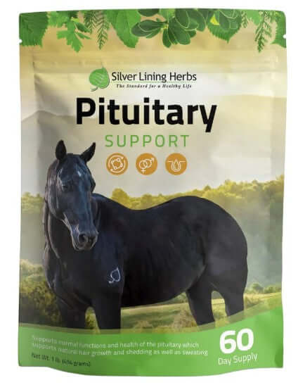 Horse Herbal Supplements