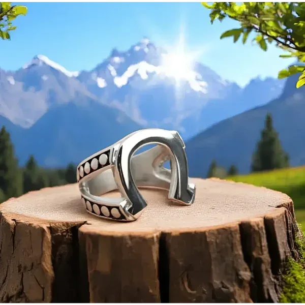 Horseshoe Stainless Steel Ring for Men, Western Jewelry - The Best New Thing