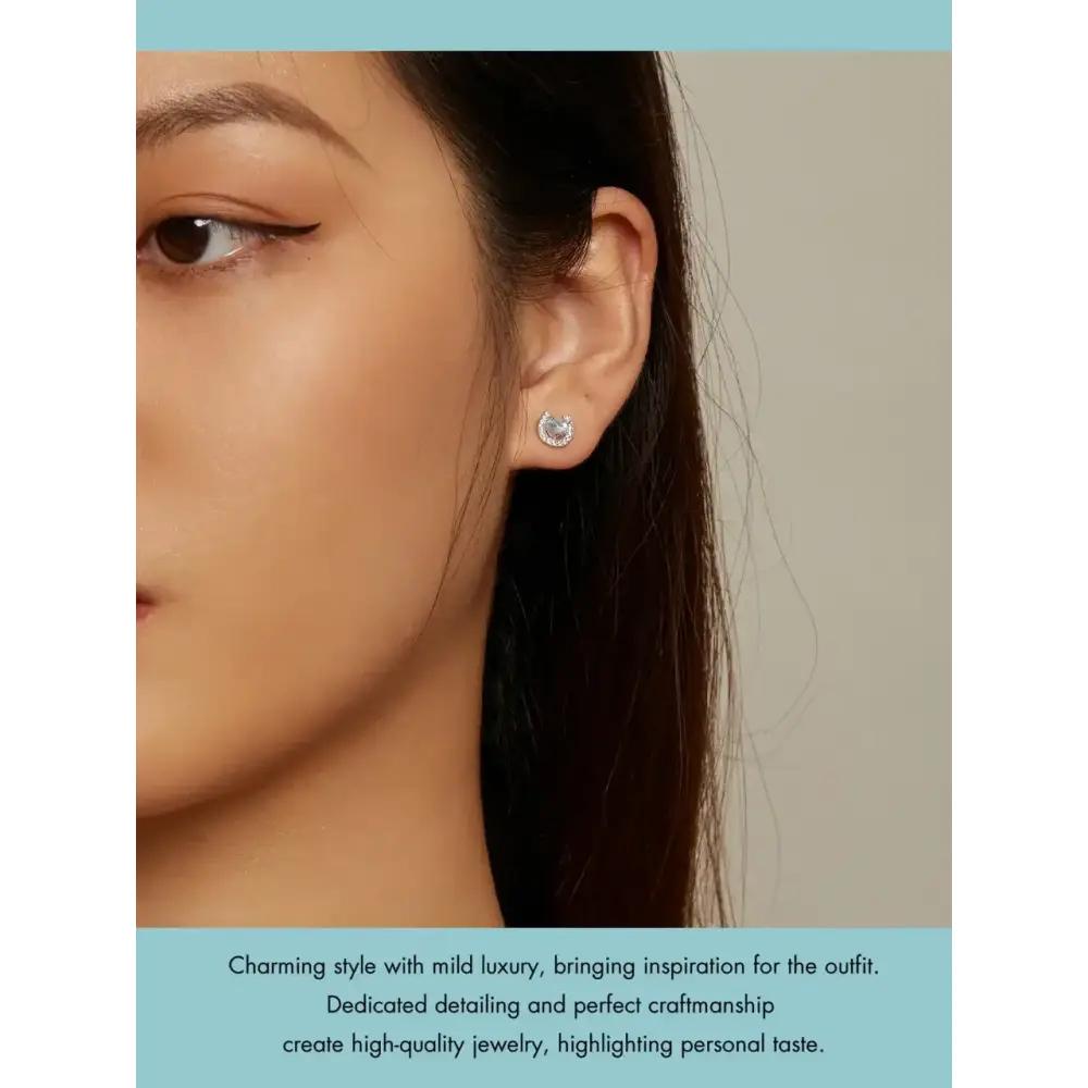 Lucky Horseshoe Stud Earrings 925 Sterling Silver Earrings Moonstone Zircon Fine Gifts for Her - CQE1612 - Jewelry