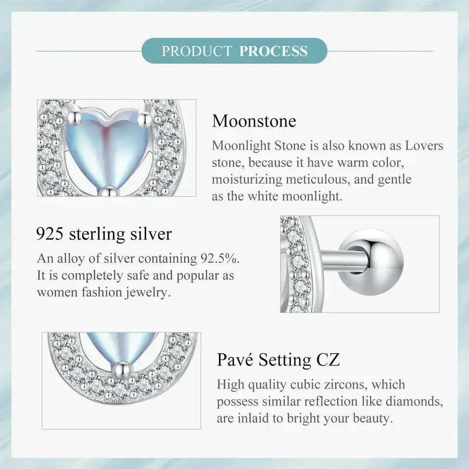 Lucky Horseshoe Stud Earrings 925 Sterling Silver Earrings Moonstone Zircon Fine Gifts for Her - CQE1612 - Jewelry