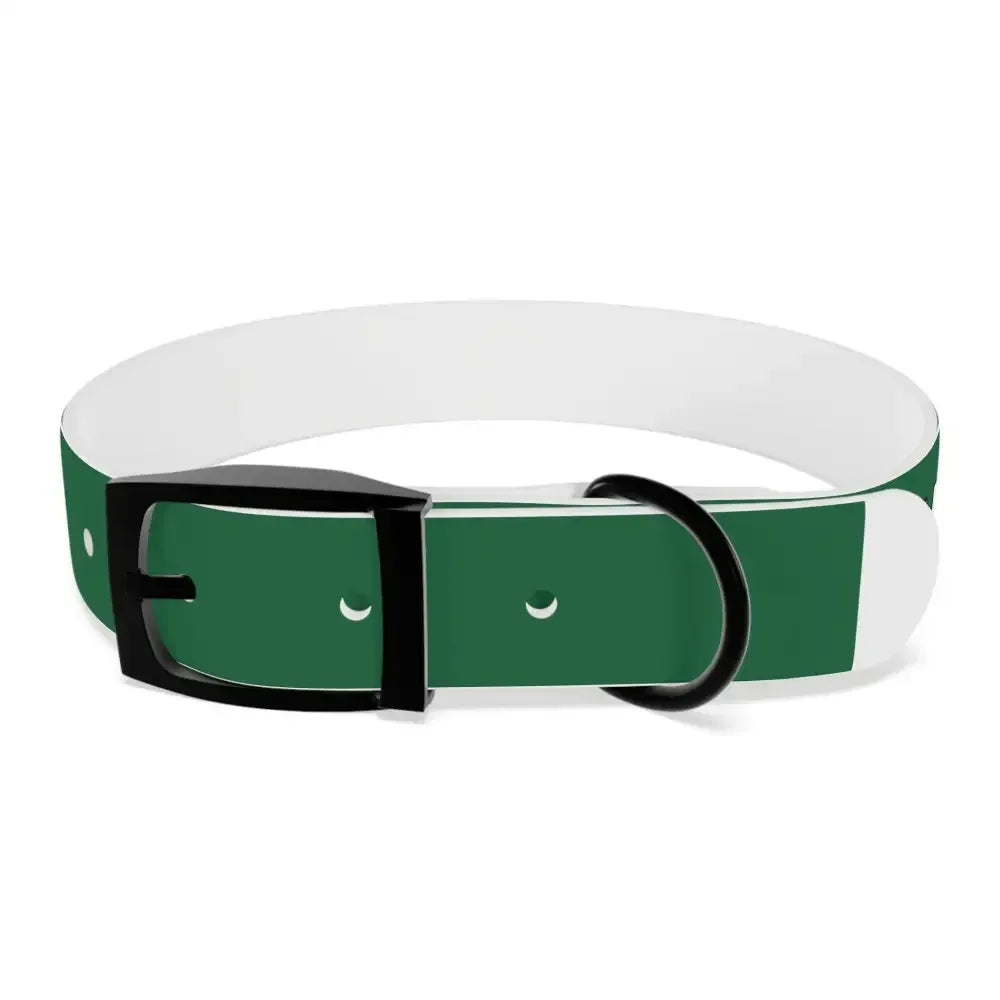 Personalized Pet Collar — Customize Dog Collars, Dog Accessories - The Best New Thing