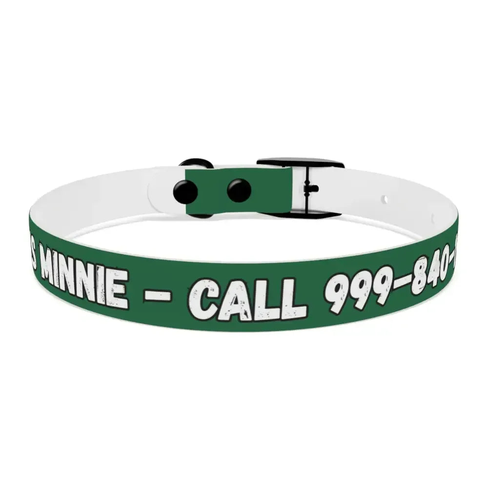 Personalized Pet Collar — Customize Dog Collars, Dog Accessories - The Best New Thing