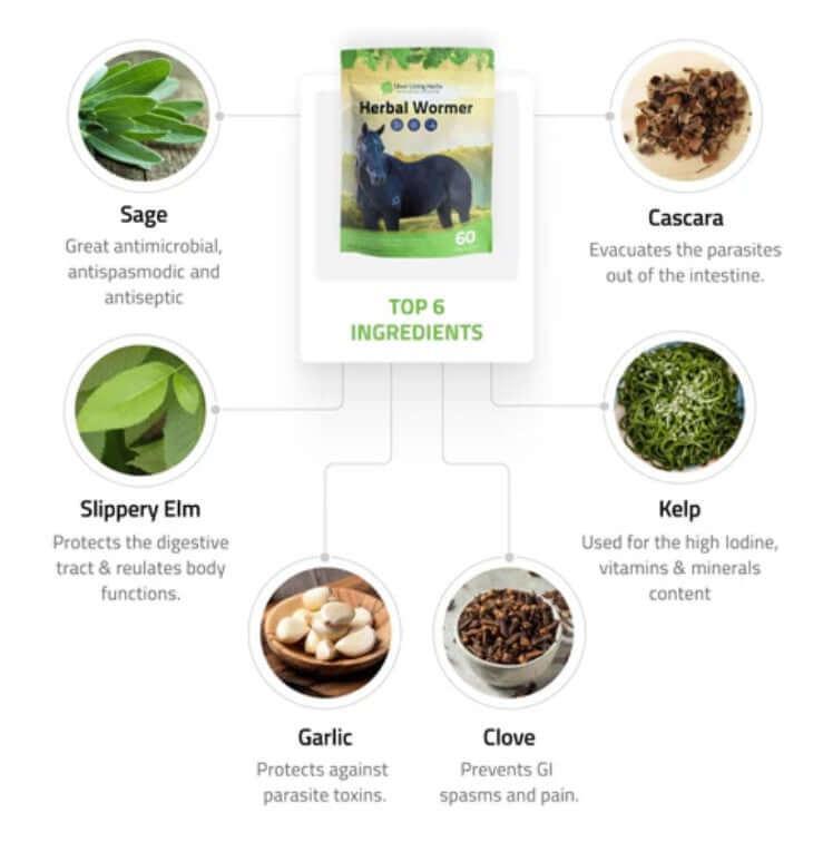 View details for Herbal Horse Supplements, Herbal Horse Wormer, Silver Lining Herbs Herbal Horse Supplements, Herbal Horse Wormer, Silver Lining Herbs