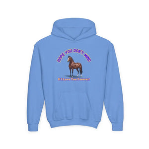 Youth Hoodie - Funny Horse Graphic Farm Apparel Hoodie for Kids - S / Carolina Blue - Kids clothes
