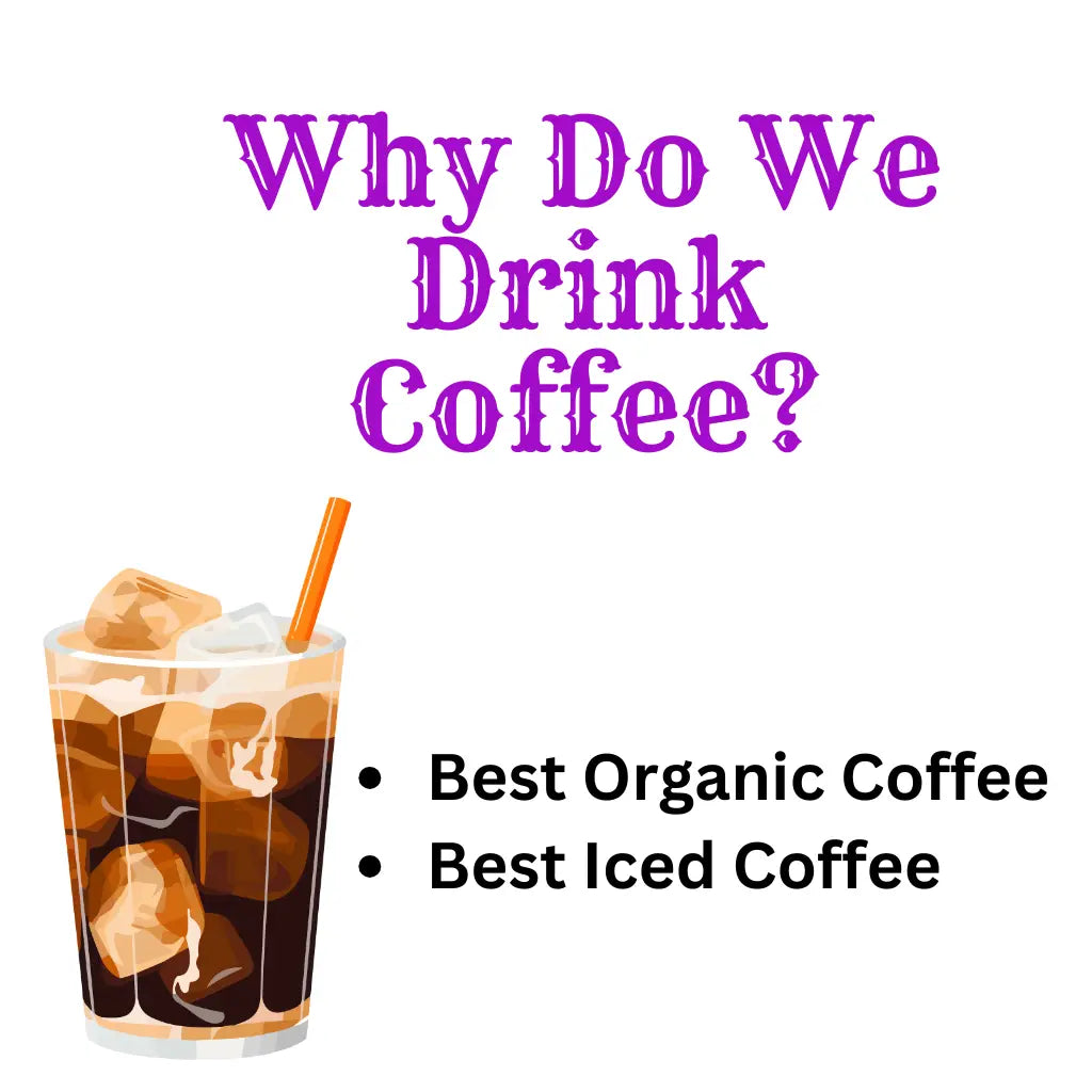 Why Do We Drink Coffee? - Best Organic Coffee Selections