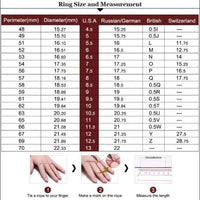 Horseshoe Mens Ring - Western .925 Sterling Silver Cubic Zirconia - The Best New Thing