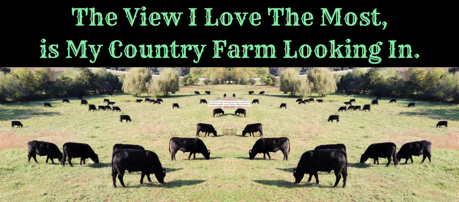 Mirrored country farm scene with grazing black cattle on Cowboy Country Coffee Mug