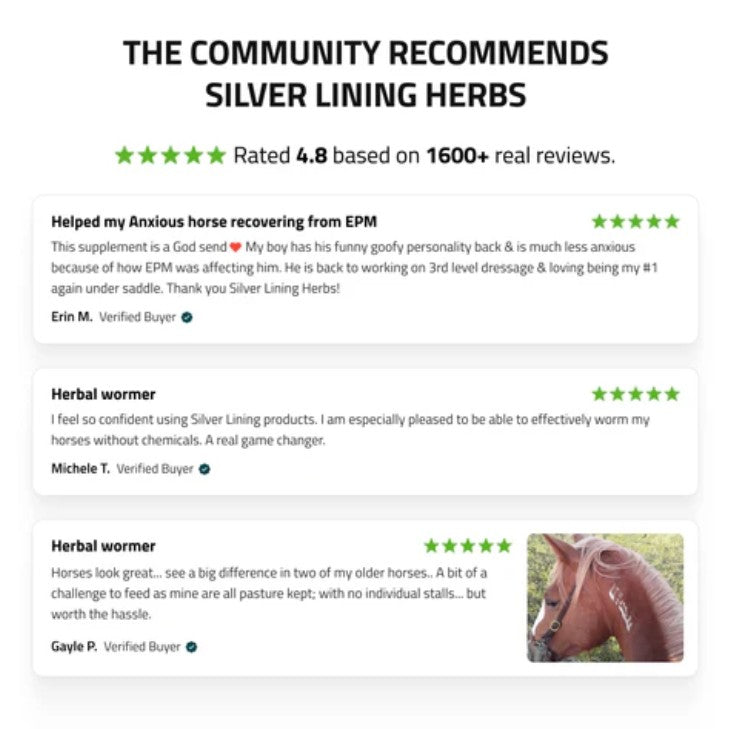 Horse Herbal Supplements