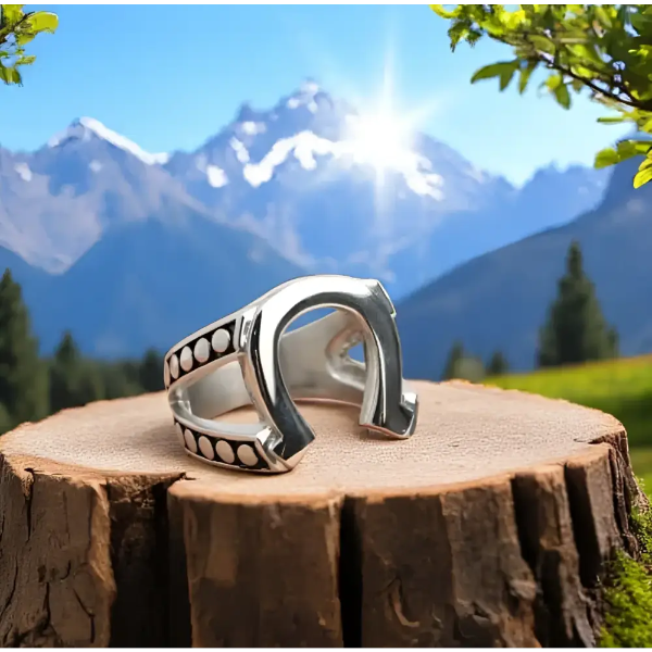 Horseshoe 316L Stainless Steel Ring for Men or Women Horse Lover Western Jewelry Jewelry