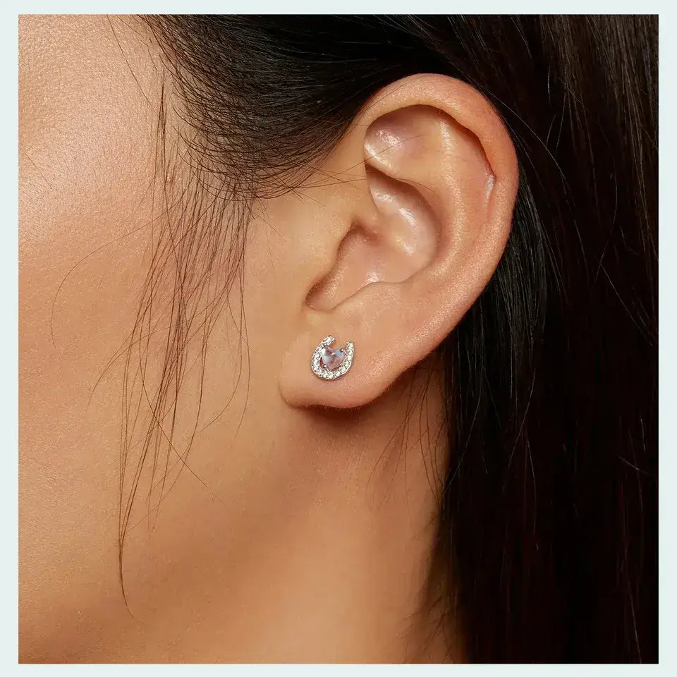 Lucky Horseshoe Stud Earrings 925 Sterling Silver Earrings Moonstone Zircon Fine Gifts for Her CQE1612 Jewelry