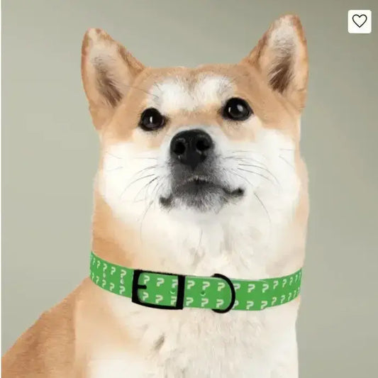 Personalized Pet Collar — Customize Dog Collars, Dog Accessories - The Best New Thing