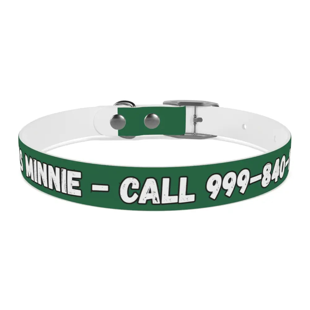 Personalized Pet Collar — Customize Dog Collars Dog Accessories - Pets