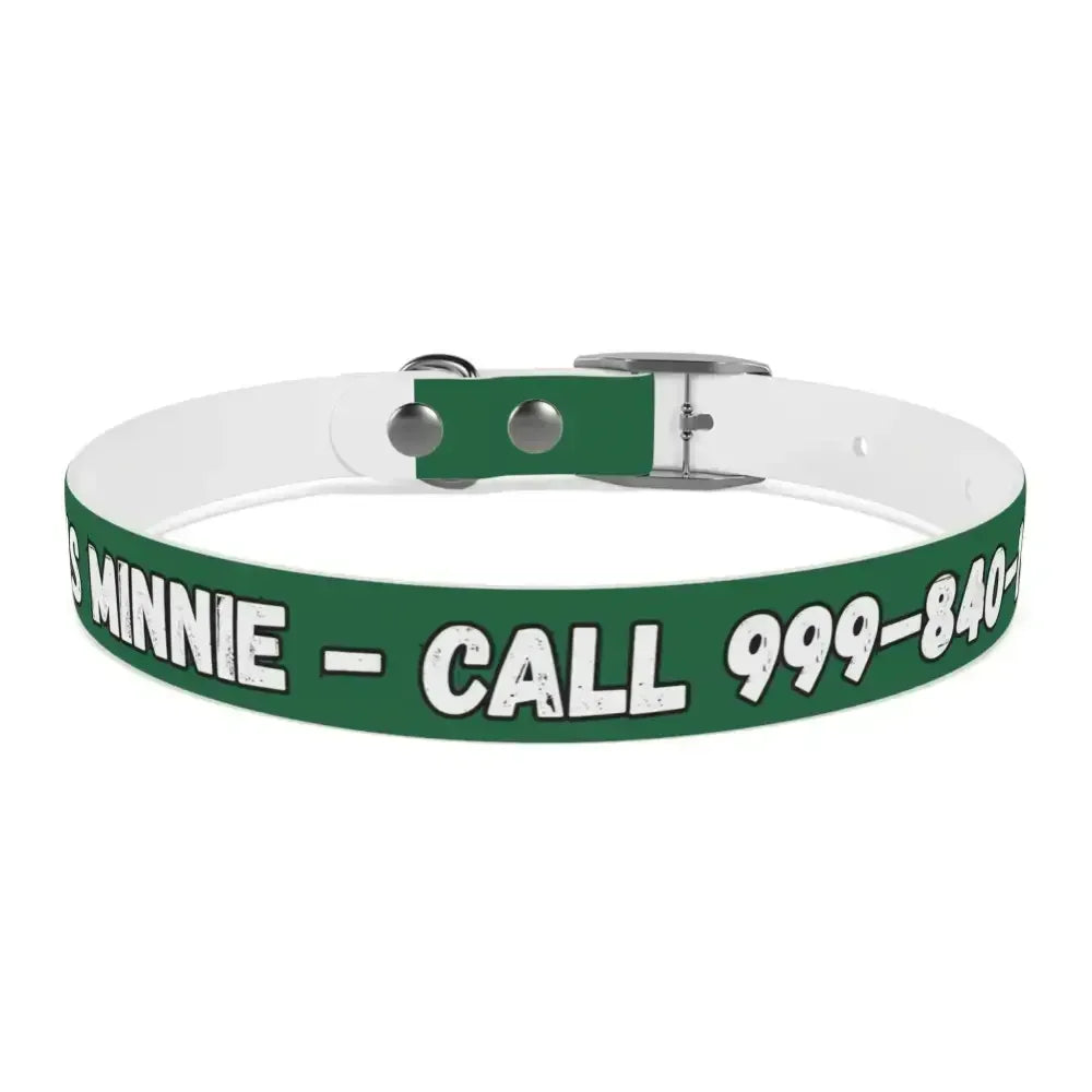 Personalized Pet Collar — Customize Dog Collars, Dog Accessories - The Best New Thing