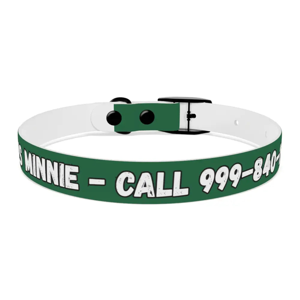 Personalized Pet Collar — Customize Dog Collars Dog Accessories - Pets