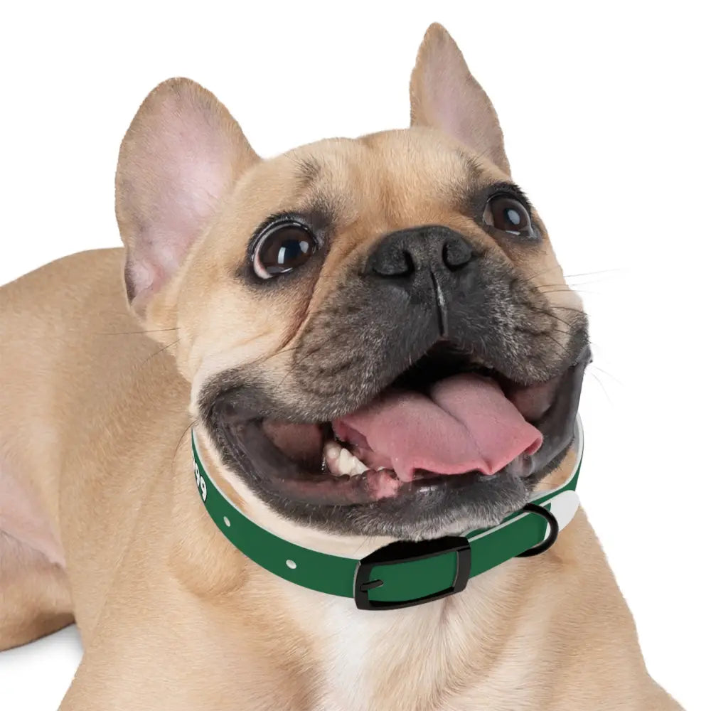Personalized Pet Collar — Customize Dog Collars Dog Accessories - Pets