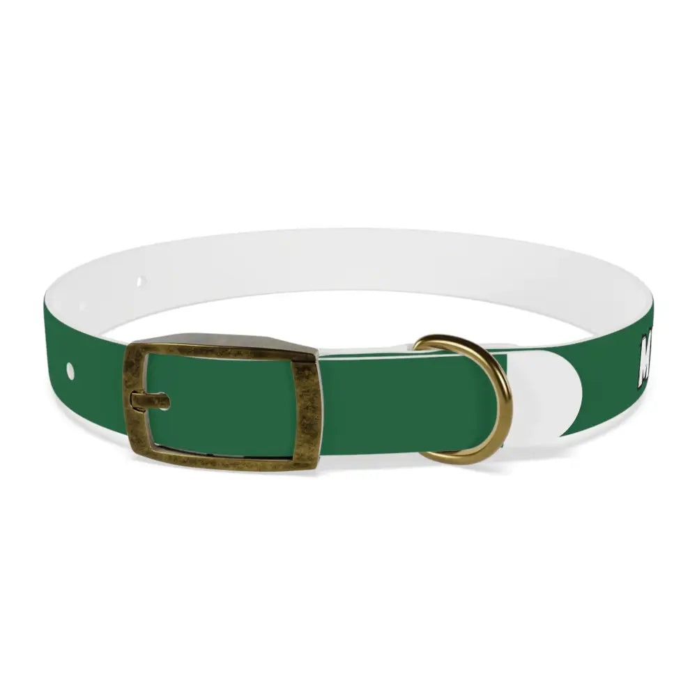 Personalized Pet Collar — Customize Dog Collars Dog Accessories - S 11-14in / Vintage Brass / TPU - Pets