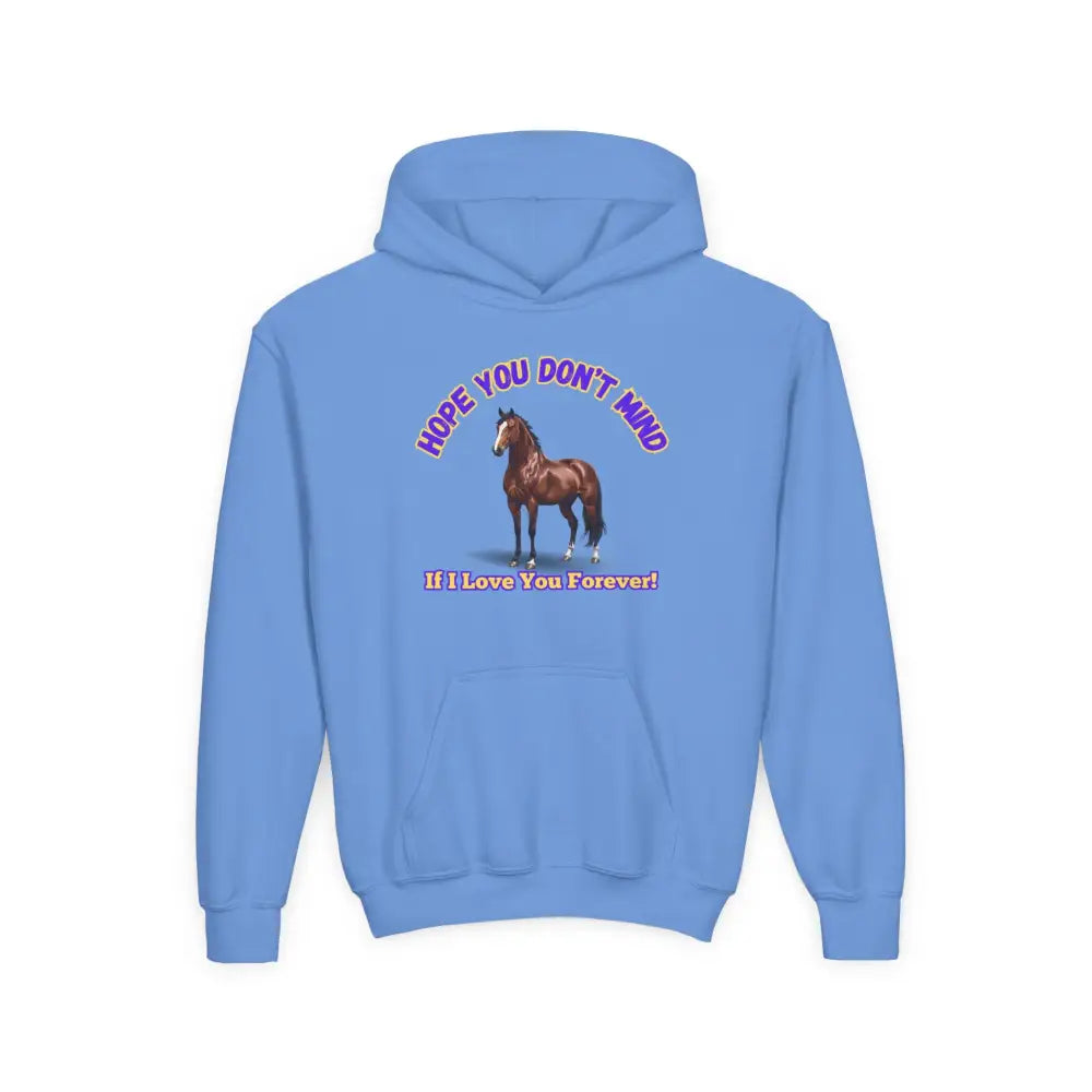 Youth Hoodie - Funny Horse Graphic Farm Apparel Hoodie for Kids - S / Carolina Blue - Kids clothes